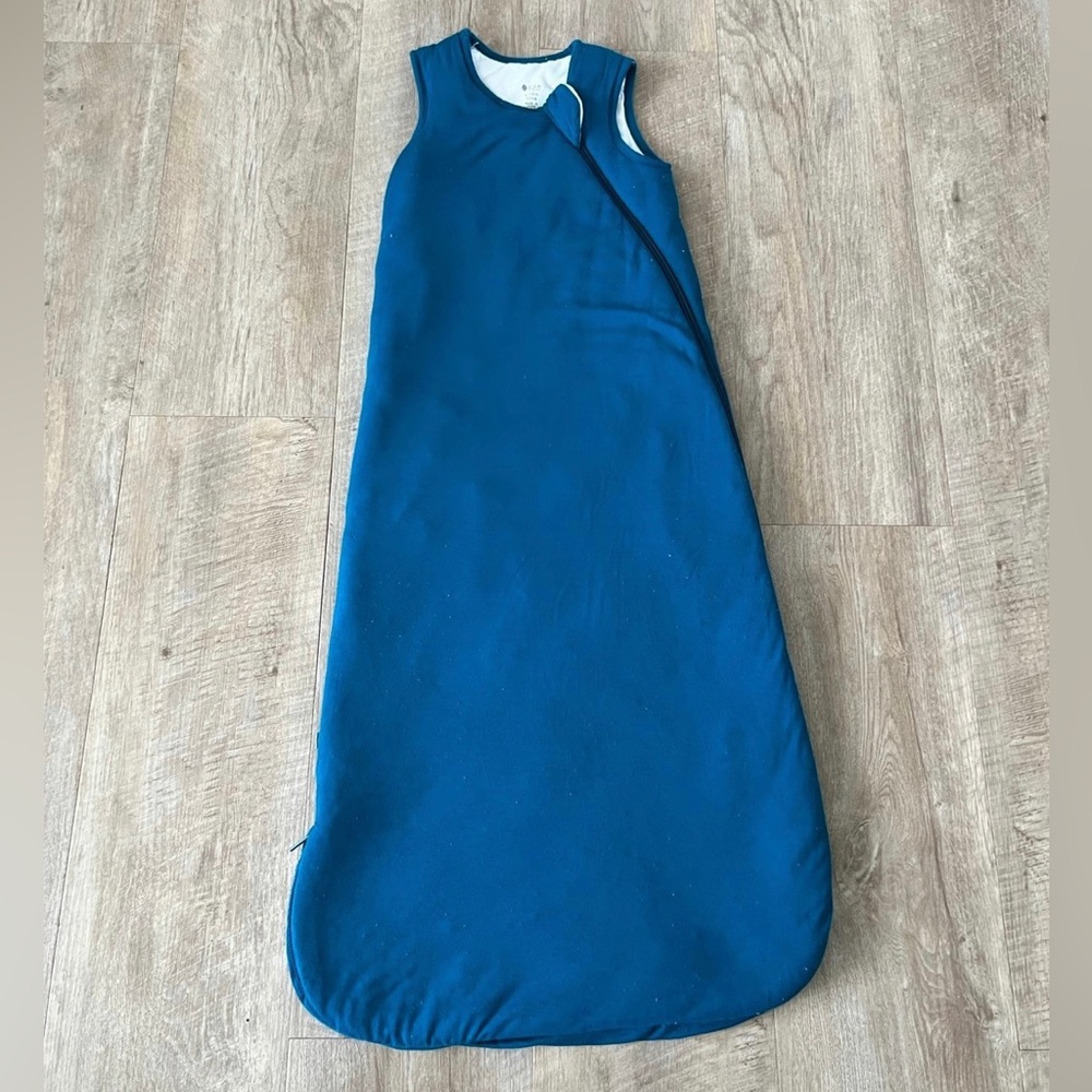 Kyte baby bamboo Baltic sleep sack bag 2.5 TOG